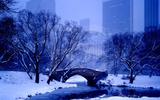 Centralparkgapstowbridge